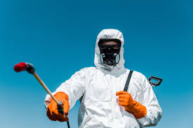 Best Residential Pest Control  in Belle, MO